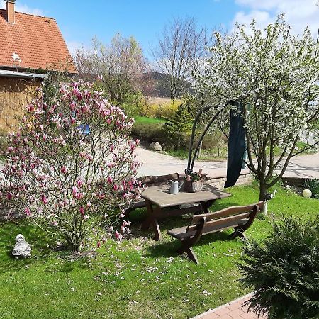 Familienfreundliche Ferienwohnung Auf Dem Lande Monteur Wohnung Hessisch Oldendorf Esterno foto