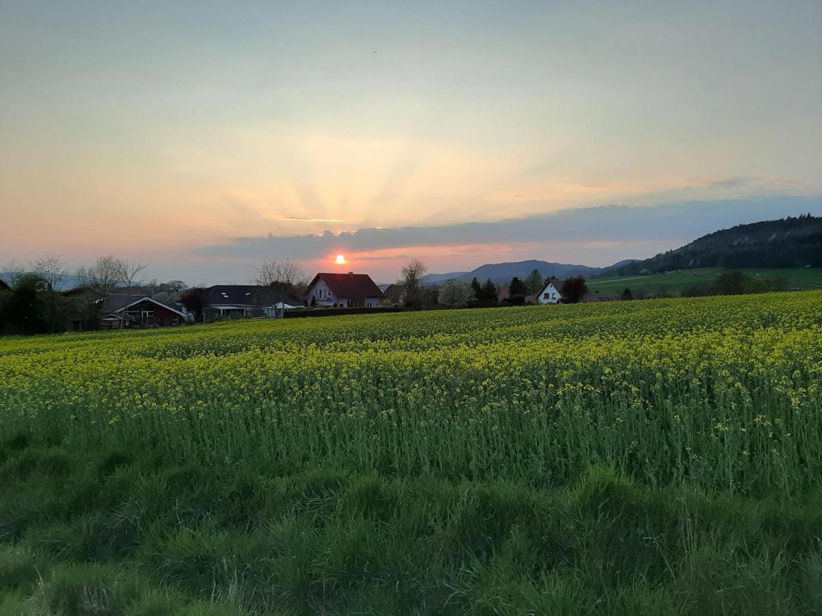 Familienfreundliche Ferienwohnung Auf Dem Lande Monteur Wohnung Hessisch Oldendorf Esterno foto