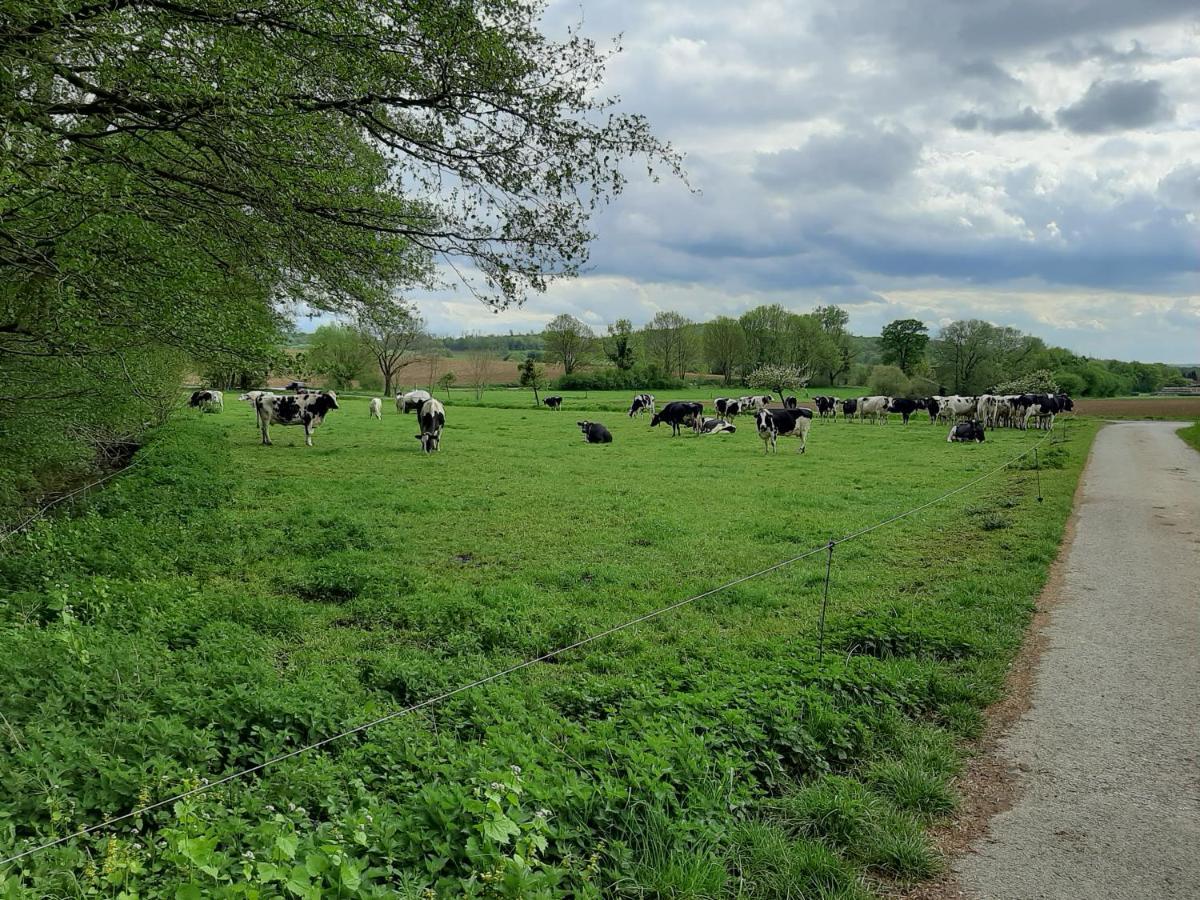 Familienfreundliche Ferienwohnung Auf Dem Lande Monteur Wohnung Hessisch Oldendorf Esterno foto
